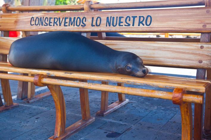 Casa Playa Los Marinos Puerto Baquerizo Moreno Esterno foto